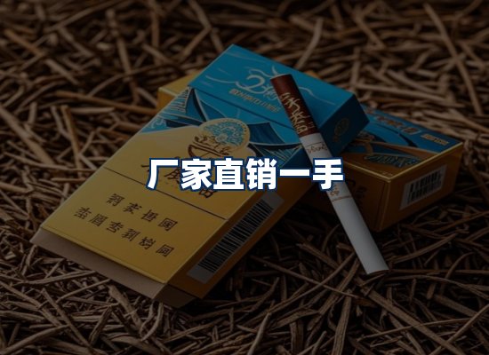 专业团队办公环境